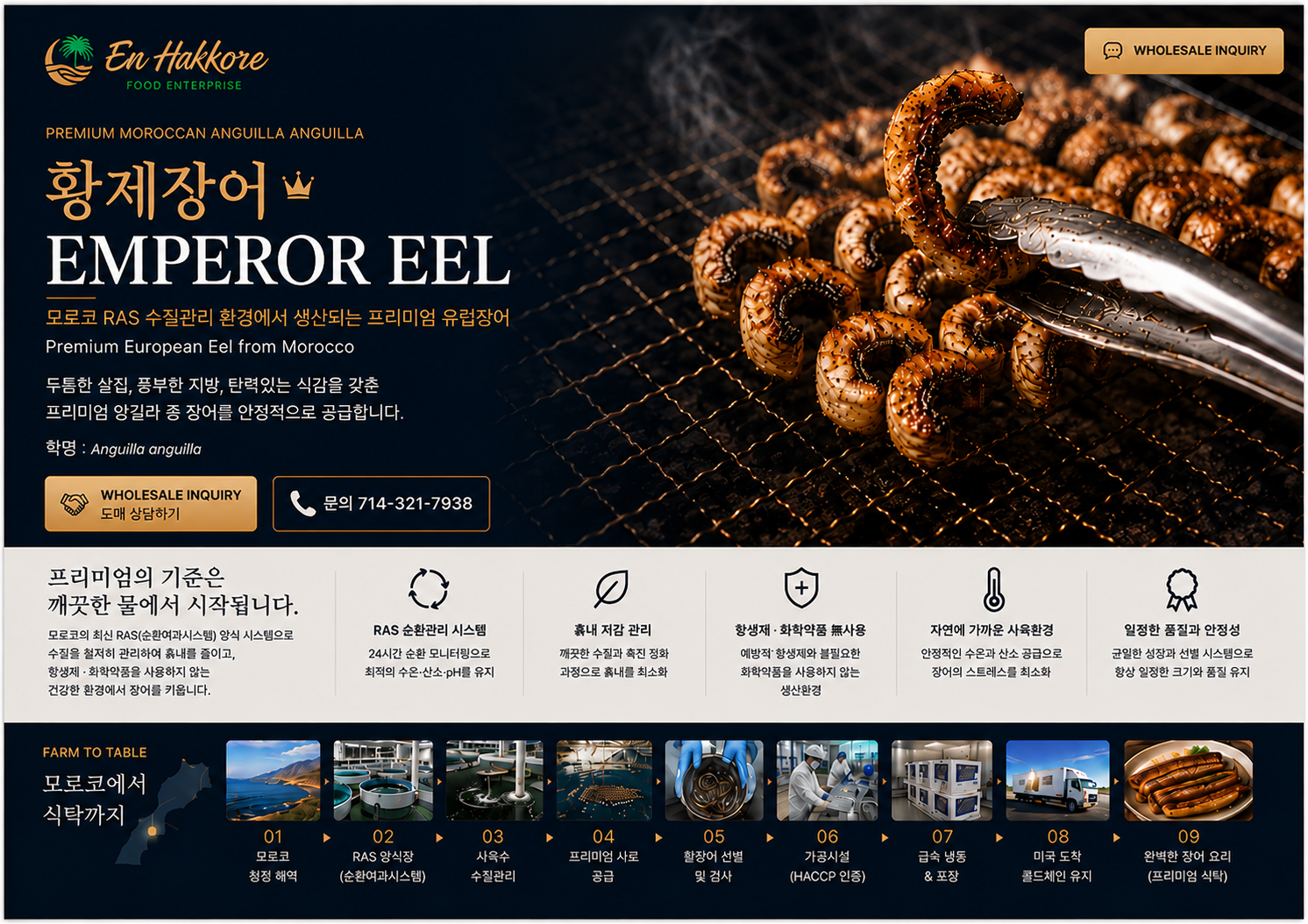 Emperor Eel premium Moroccan European eel wholesale product and farm-to-table supply process